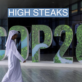 Will COP28 convince rich countries to eat less meat?