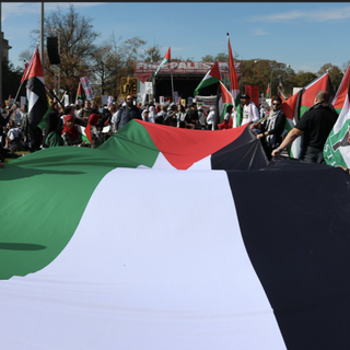 On Being Fired: Academic Repression and the Struggle for Palestine