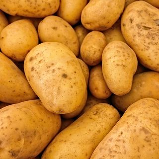 Farmers to give away 200,000 pounds of potatoes in Washington