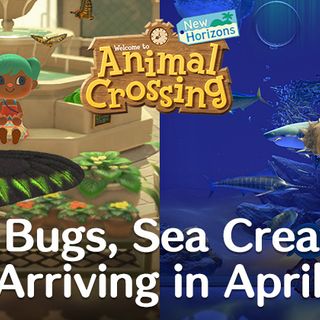 April Fish & Bugs Guide: Every Newly Arriving Creature in Animal Crossing: New Horizons (Northern Hemisphere)