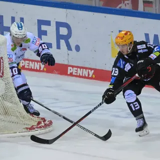 Video-Umfrage: So fiebert Bremerhaven mit seinen Pinguins mit