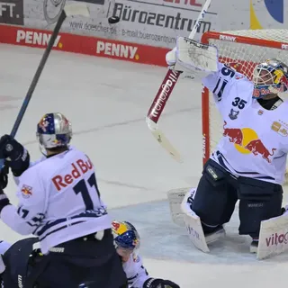 DEL-Finale: Fischtown Pinguins Bremerhaven treffen auf Eisbären Berlin