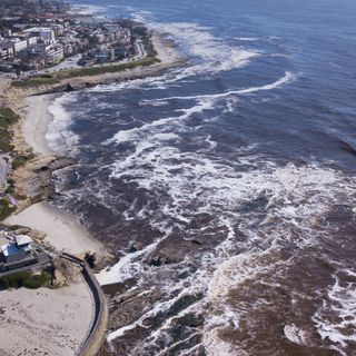 Neon blue flash gives way to rotting stench as red tide sweeps California coast