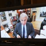 Fauci warns: More death, econ damage if US reopens too fast