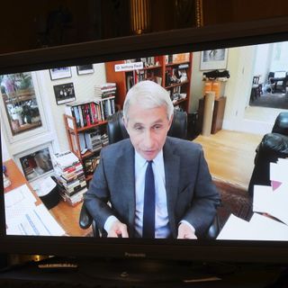 Fauci warns: More death, econ damage if US reopens too fast