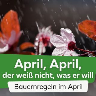 31 Bauernregeln & Wetter im April