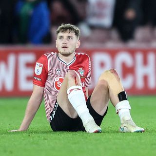 Southampton should have signed 21-year-old on loan rather than David Brooks in January