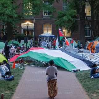 Lage droht zu eskalieren: Studierende besetzen Gebäude bei Pro-Palästina-Protest an US-Unis