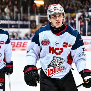 Danjo Leonhardt und Tim Fleischer wechseln zu den Straubing Tigers