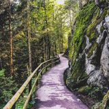 Wie im Märchen: Die schönsten Wanderwege im Schwarzwald