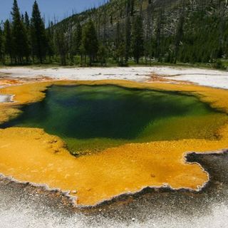 Woman who illegally entered Yellowstone falls into thermal feature and is burned