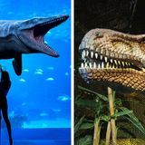 Nab Your Tickets To Walk Among Life-Sized Dinosaurs At This Dublin Exhibition