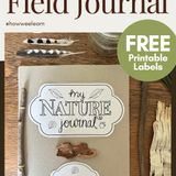How to Make a Field Journal for Earth Day and Every Day! - How Wee Learn