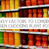 Three Key Factors to Consider When Choosing Plant Pots - The Micro Gardener