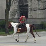 Who’s That Man Riding A Horse On The Streets Of Chicago? The Dreadhead Cowboy.