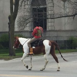 Who’s That Man Riding A Horse On The Streets Of Chicago? The Dreadhead Cowboy.