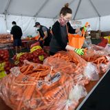 Multimillion-dollar food bank delivery contracts go to firms with little experience