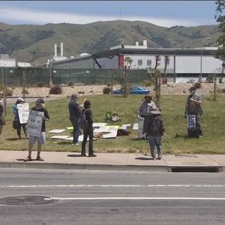 Frustrated protesters outside Fremont Tesla factory want to see CEO Musk put behind bars