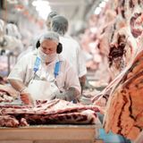 China suspends Australian beef imports from four abattoirs