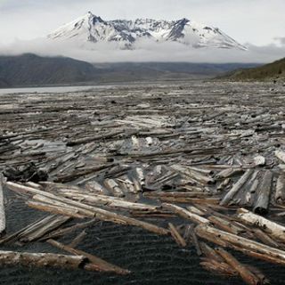 Mount St. Helens' Landscape Changed In An Instant. 40 Years Later It Keeps Evolving.