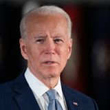 Joe Biden’s virtual campaign speech repeatedly interrupted by geese