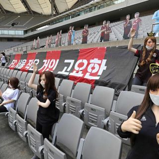 Korean soccer club apologizes for putting sex dolls in seats