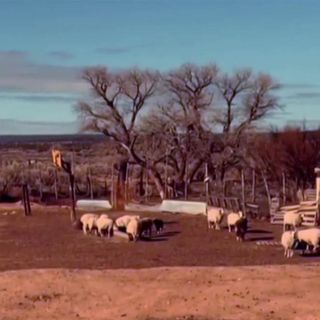 Navajo advocate: ‘Extremely difficult to wash hands’ in Navajo Nation due to scarce running water