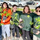 Williams Lake’s Seedy Saturday, Early Bird Farmers’ Market a hit