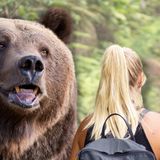 What You Should Absolutely Never Do If Attacked By a Bear in the Woods