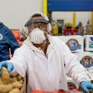 Wedding Planner, Caterer, “Brand Builder”: Trump’s Food Aid Program Is Paying $100+ Million to Unlicensed Dealers