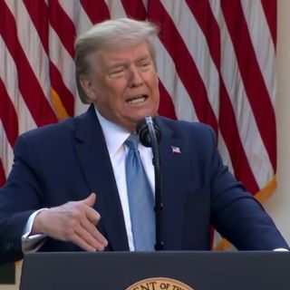 Trump Ramps Up Attack on Local Reporter Who Filmed Long Island Protesters Abusing Him: 'They Hate Fake News, and So Do I!'