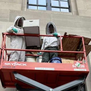 K9 Trooper has Nashville buzzing after beehive rescue