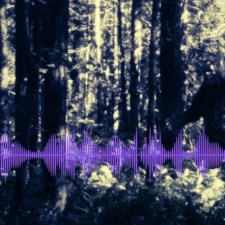 Fascinating Recording of 'Bigfoot Screams' Resurfaces More Than a Decade Later