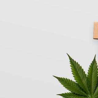 Cannabis Delivery Services | MMJ Delivery Brand Reviews