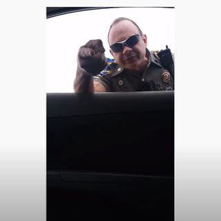 Connecticut state trooper taken off the road after stopped motorist records tirade