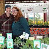 Spirit Square Farmers’ Market hosts plant sale