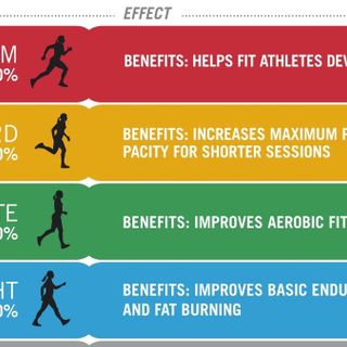 Understanding Your Heart Rate: The Key to Optimal Cardiovascular Health and Fitness