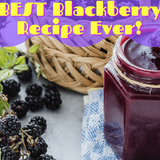 The Best Blackberry Jam Recipe EVER! No Sugar, No Pectin, Super Tasty!