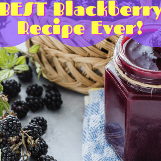 The Best Blackberry Jam Recipe EVER! No Sugar, No Pectin, Super Tasty!