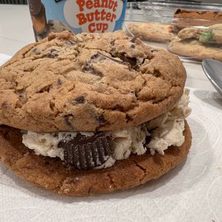 Ice Cream Cookie Sandwiches