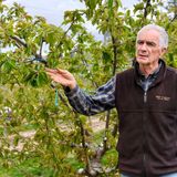 MELTDOWN: As water dries up, Creston Valley’s farmers worry for the future