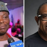 Wale Ojo-Lanre Drags Peter Obi, LP, Mother, FG, AGF To Court For Rights Violation