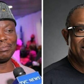 Wale Ojo-Lanre Drags Peter Obi, LP, Mother, FG, AGF To Court For Rights Violation