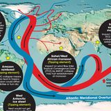 Oceanic Circulation at Risk