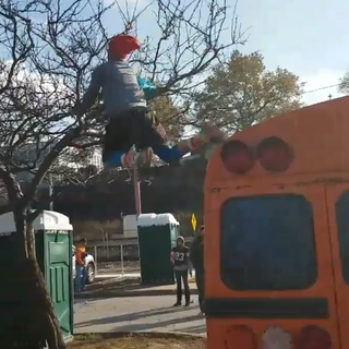 A Guy In The Muni Lot Willingly Jumped Off A Bus Into A Tree For Some Reason 