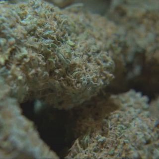 Oregon sees record breaking $89 million in marijuana sales in April