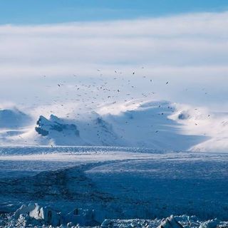 Global Leaders Gather to Address Climate Change - My blog