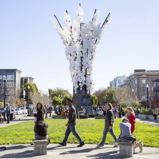 Woman found dead in Hayes Valley park identified as San Francisco resident