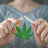 CBD Oil Stop Smoking: How Can CBD Oil Help Quit Tobacco Cigarettes? | Cannabis Place