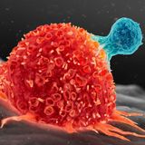 Scientists Found a Way to Supercharge Cancer-Fighting Cells